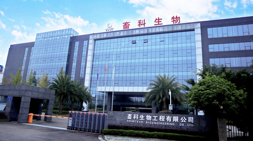 news21.jpg news21.jpg